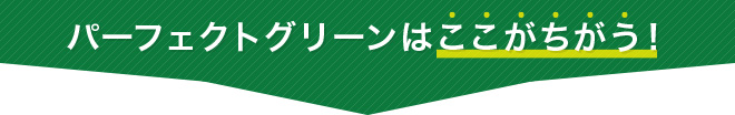 パーフェクトグリーンはここがちがう!