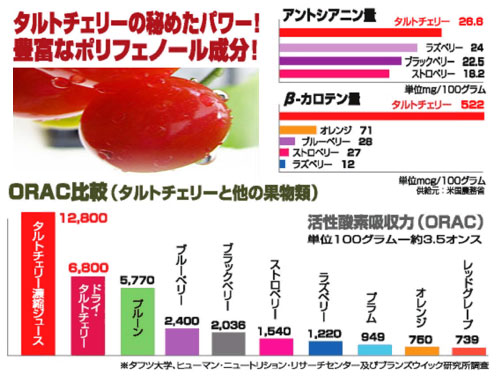 チェリー専用 655kgの軽量ボディと、個性的なカプセルシェイプのスタイル｜1971年式